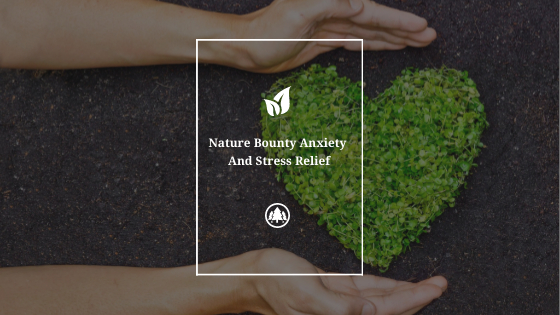 How to Get Started with Nature Bounty Anxiety And Stress Relief