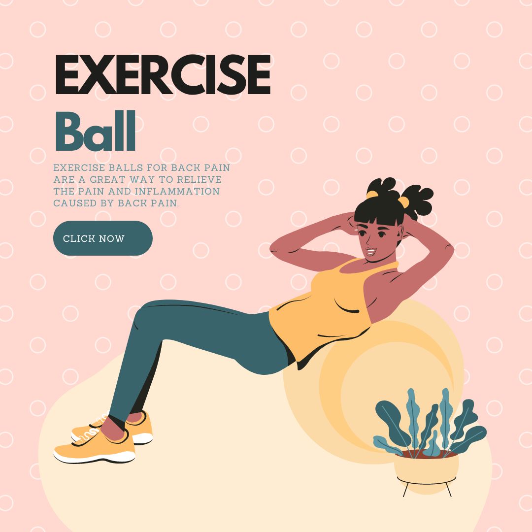 A Beginner’s Guide to Buying the Best Exercise Ball for Back Pain